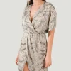 Chances Embroidered Sequin Dress