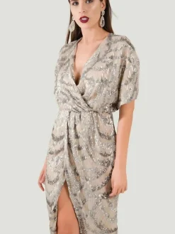 Chances Embroidered Sequin Dress