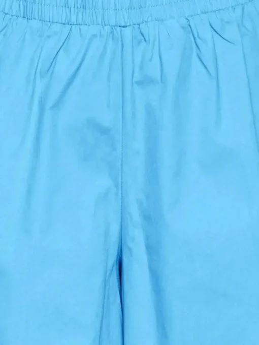 ICHI Stormie Plain Shorts