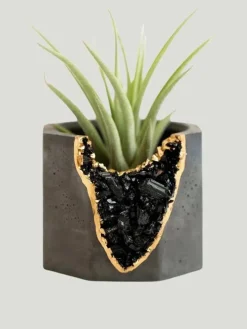 Tal & Bert Natural Geode Vessel