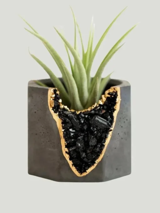 Tal & Bert Natural Geode Vessel