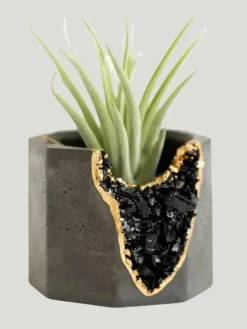 Tal & Bert Natural Geode Vessel