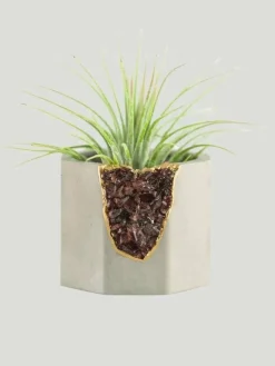 Tal & Bert Natural Geode Vessel
