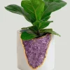 Tal & Bert Natural Quartz Planters