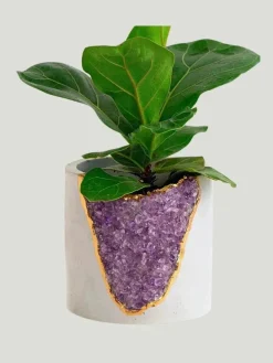 Tal & Bert Natural Quartz Planters