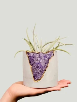 Tal & Bert Natural Quartz Planters