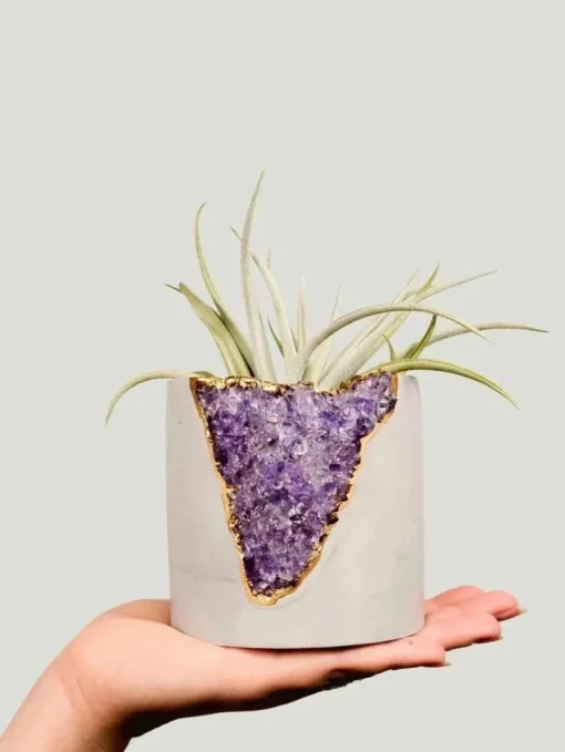 Tal & Bert Natural Quartz Planters