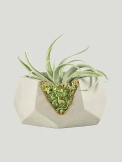 Tal & Bert Natural Quartz Planters