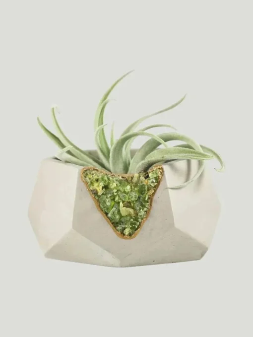 Tal & Bert Natural Quartz Planters