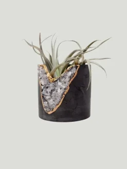 Tal & Bert Natural Quartz Planters