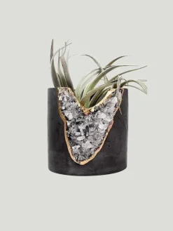 Tal & Bert Natural Quartz Planters