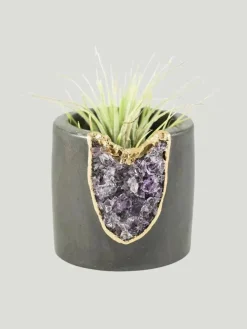 Tal & Bert Natural Quartz Planters