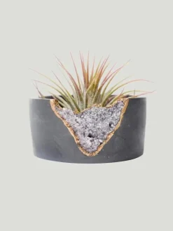 Tal & Bert Natural Quartz Planters