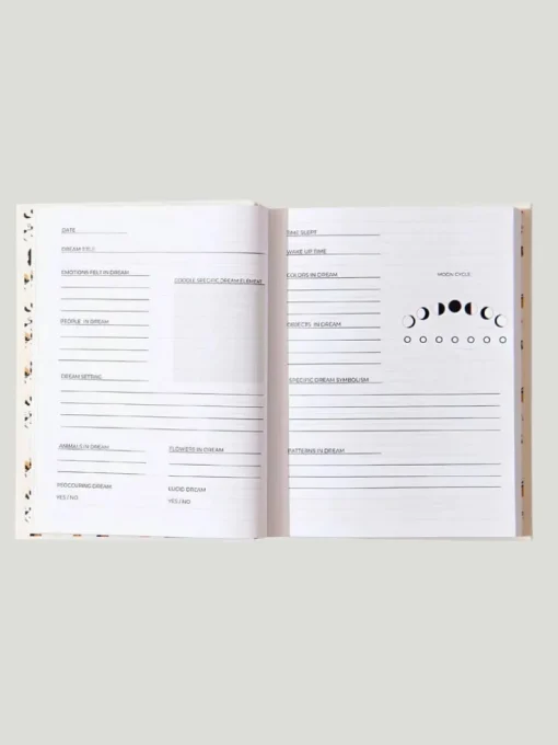 Thought Catalog Dream Journal
