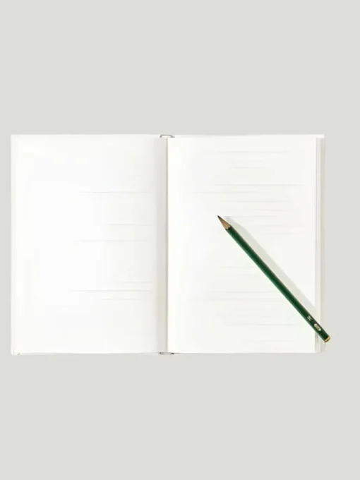 Thought Catalog  Meditations Journal