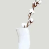Tribe and Glory Ankole Cattle Horn Vase