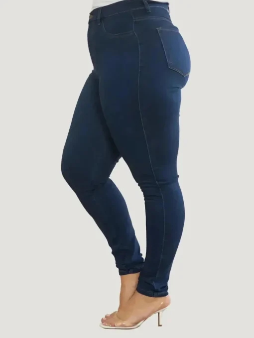 Vibrant M.i.U Plus Size All Season Skinny Jeans