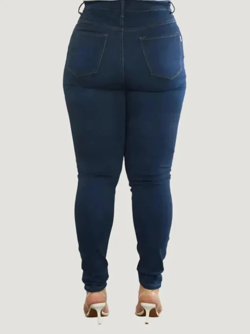 Vibrant M.i.U Plus Size All Season Skinny Jeans
